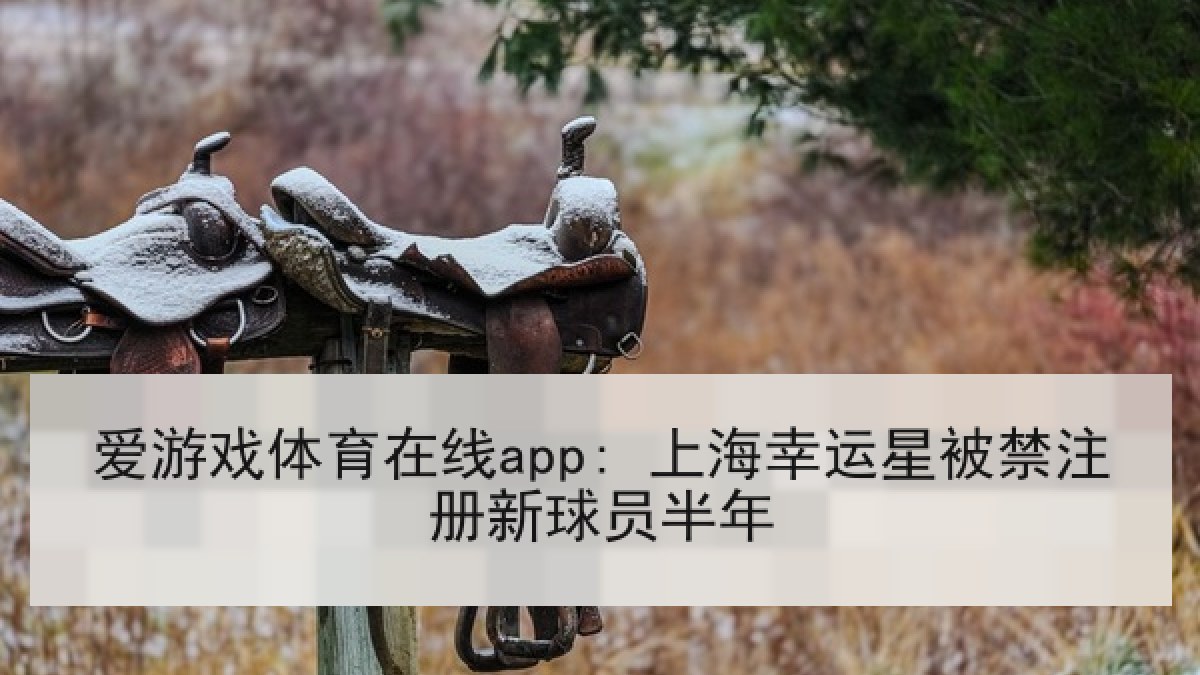 爱游戏体育在线app: 上海幸运星被禁注册新球员半年 爱游戏体育在线app: 上海幸运星被禁注册新球员半年
